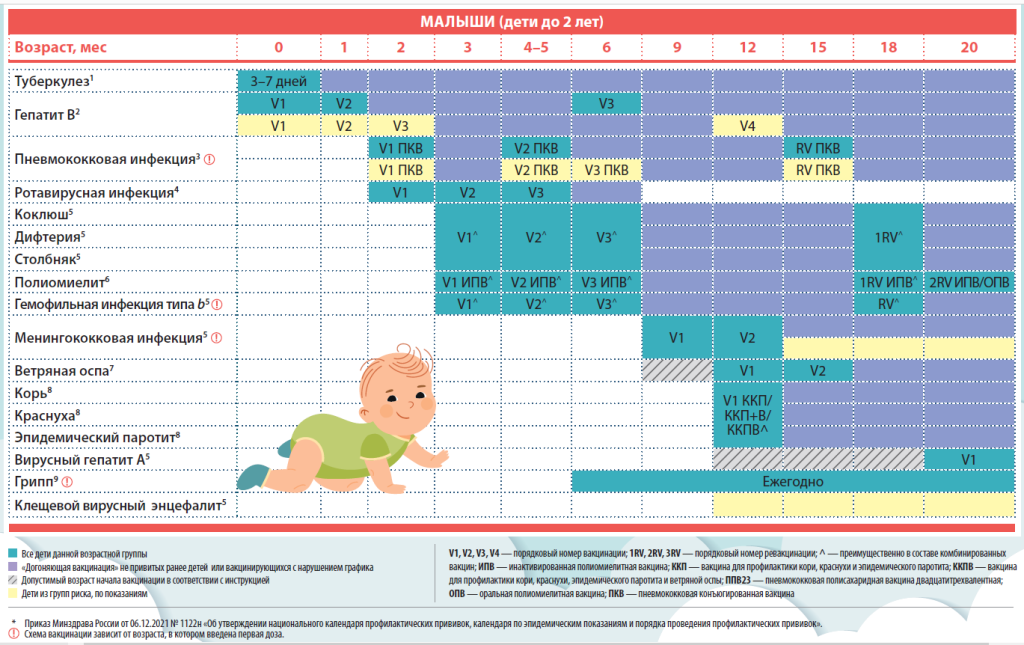 Календарь прививок для малышей