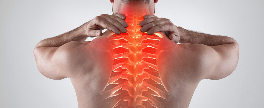 профилактика болезней спины