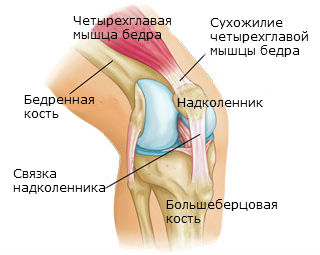 Растяжение связок плечевого сустава: симптомы и лечение, в Москве | Клиника Доктор Длин