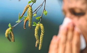 Программа «Весна без аллергии»